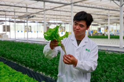 新疆庫車 “甬庫”合作產業援疆 實現戈壁灘現代農業種植與種植技術開發